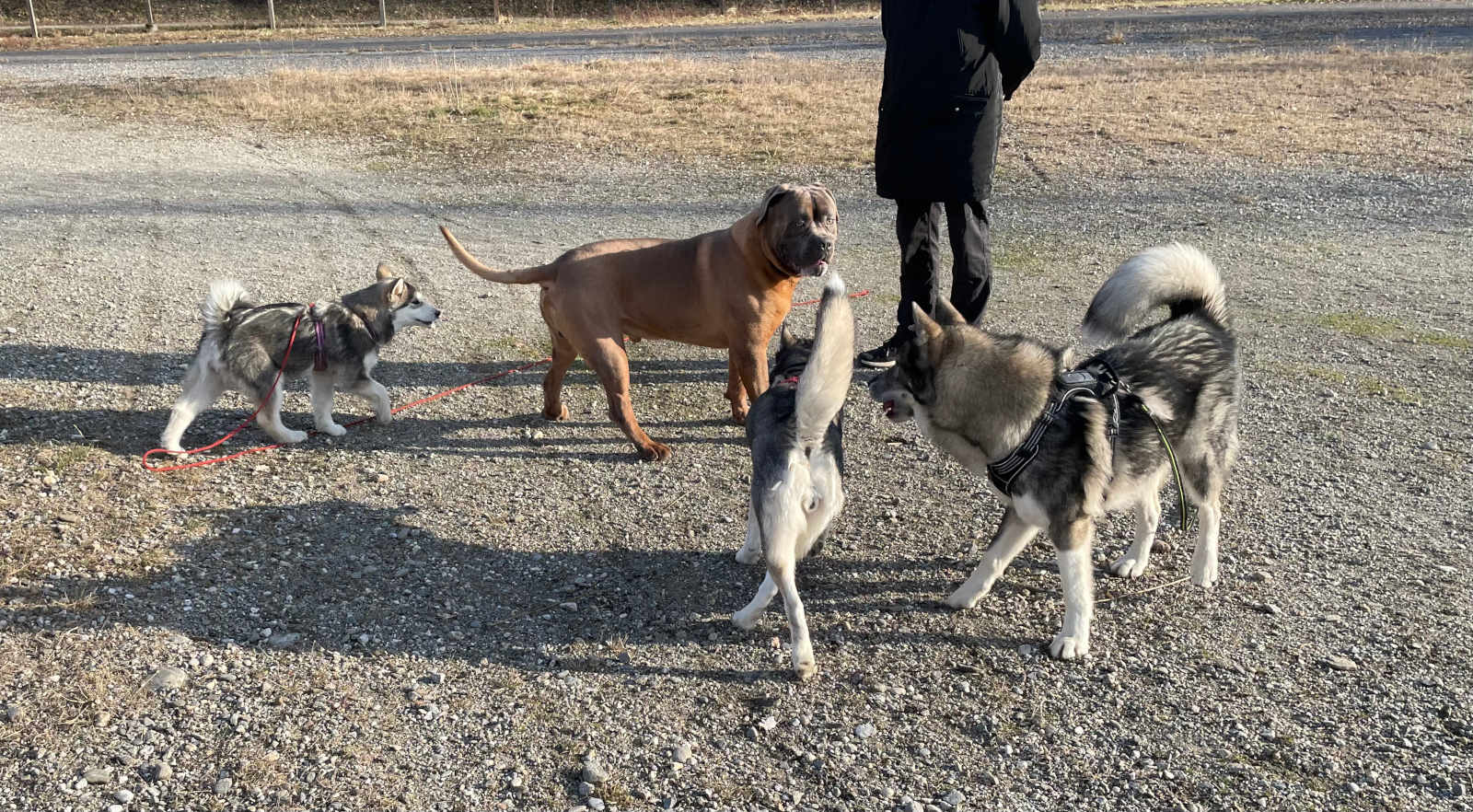 Séance d’éducation collective