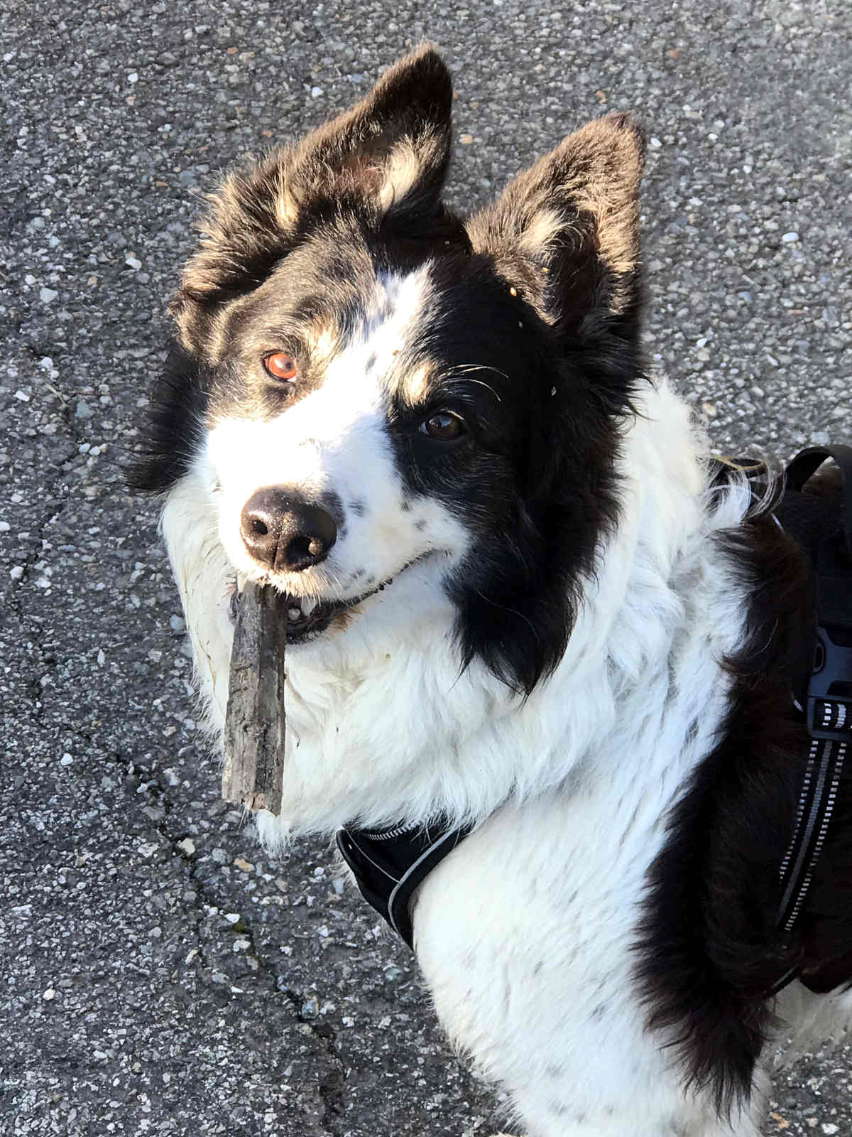 Activité Bilan éducation